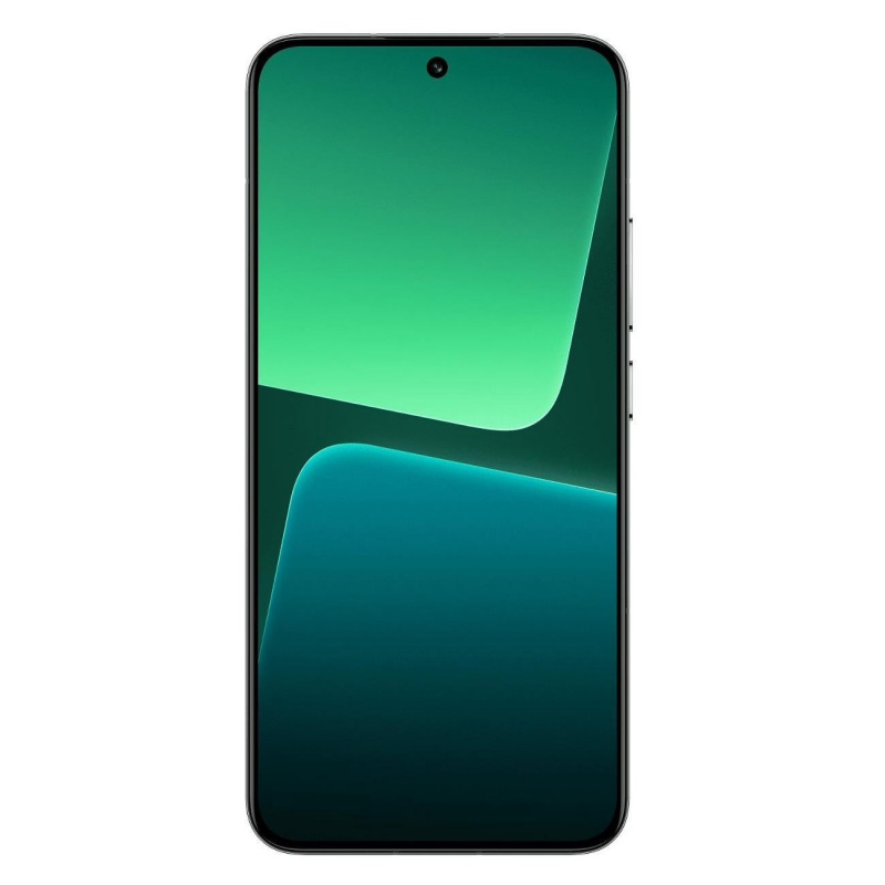 Xiaomi 13 12+ 256Gb Flora Green